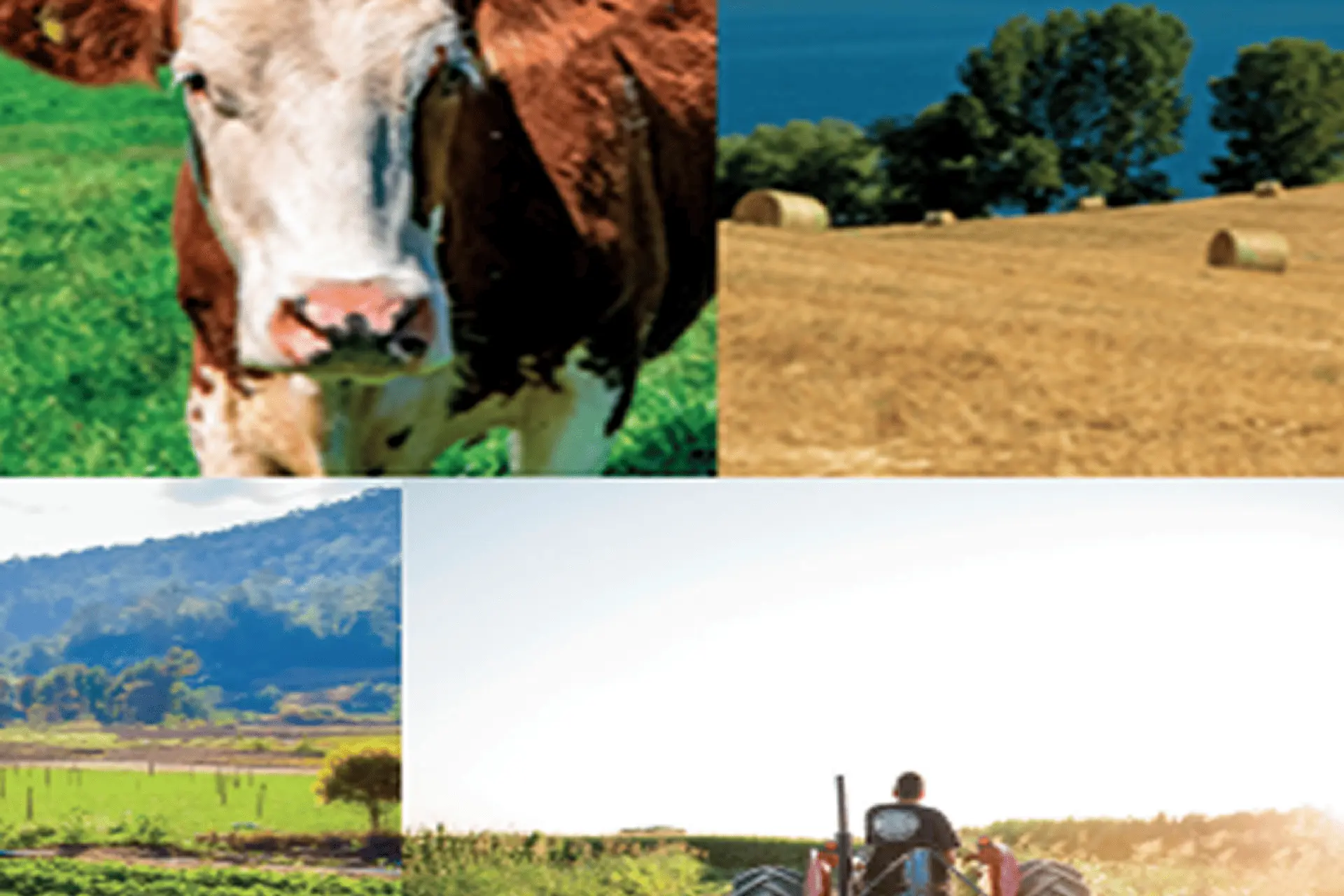 Ефективно працювати на землі й берегти довкілля: для чого створено Правила належної сільськогосподарської практики